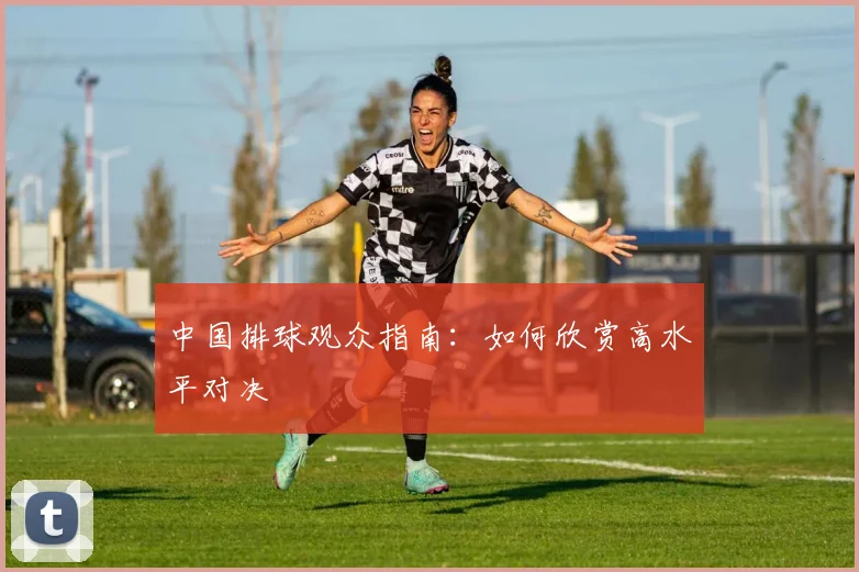 中国排球观众指南：如何欣赏高水平对决