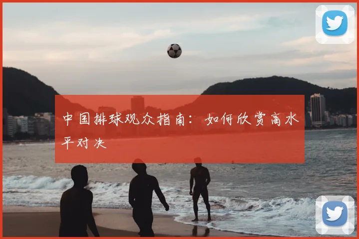 中国排球观众指南:如何欣赏高水平对决