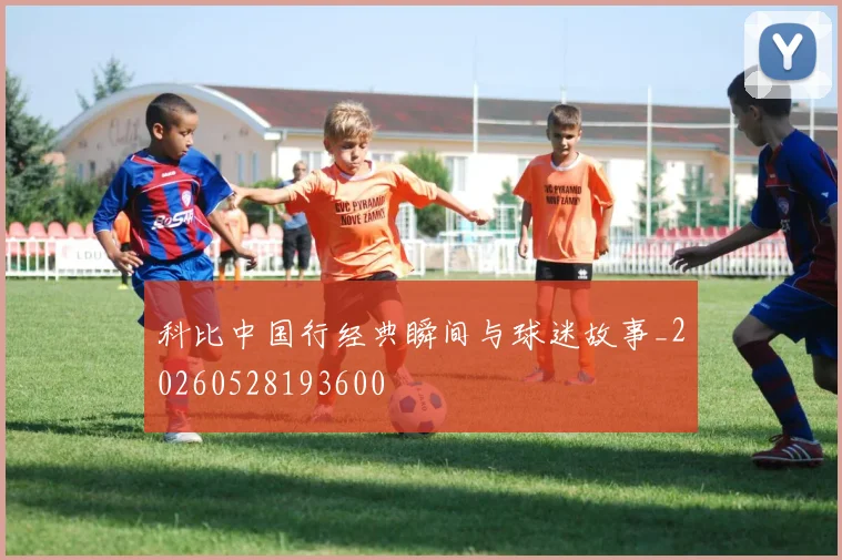 科比中国行经典瞬间与球迷故事_20260528193600